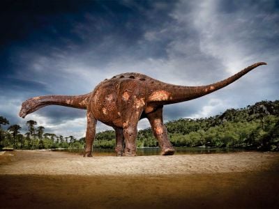 Reconstruction of a titanosaur with ulcerations