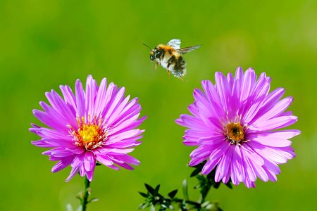 Smarter than we think.