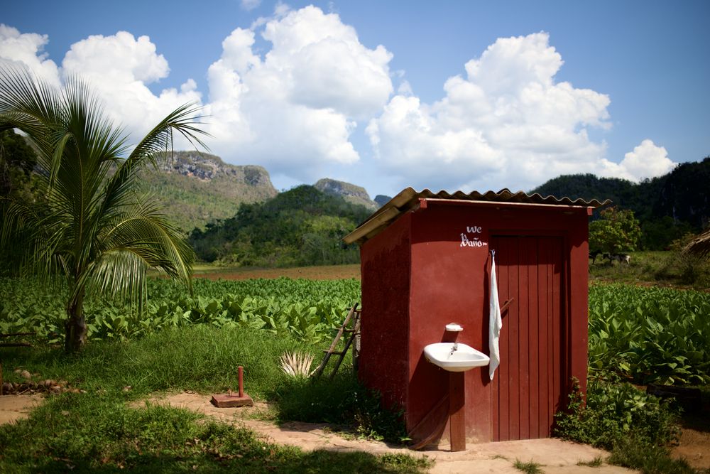 Outhouse on a Cuban tobacco farm.
