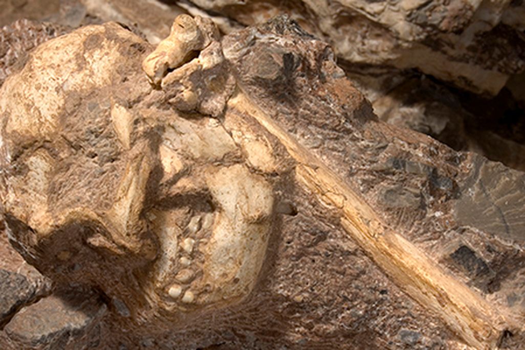 Little Foot.jpg