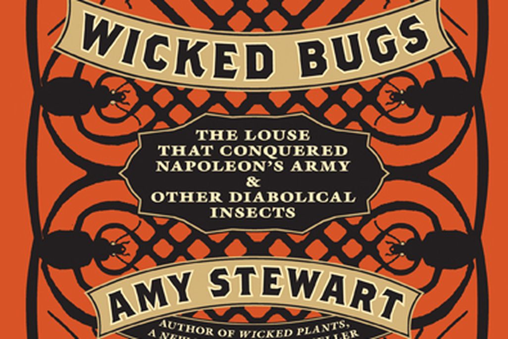 20110520102450wickedbugssm.jpg