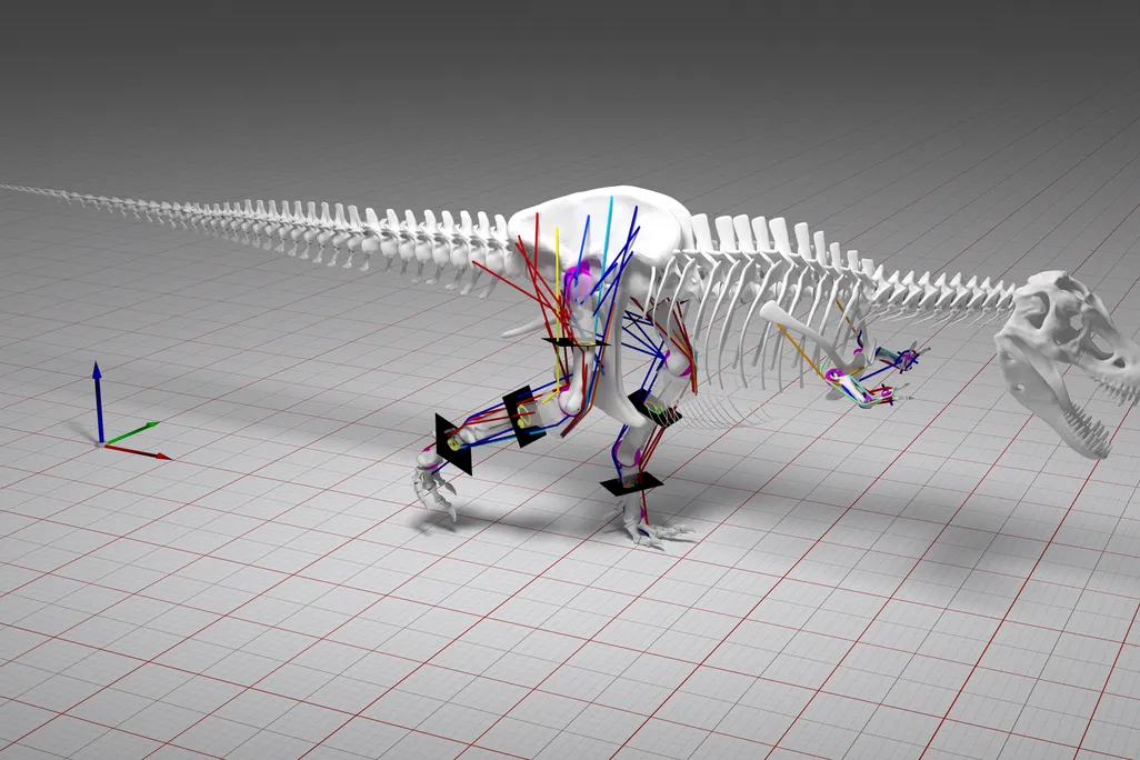 T-rex Model