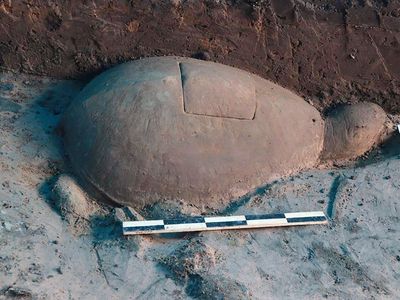 A large sandstone turtle unearthed at last week at the Angkor Wat temple complex