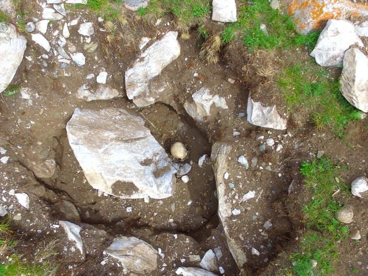 While looters discard bones, they are invaluable to archaeologists’ research.