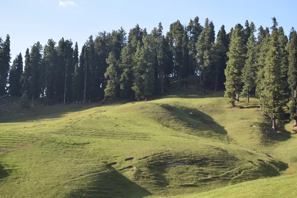 Gulmarg meadow thumbnail