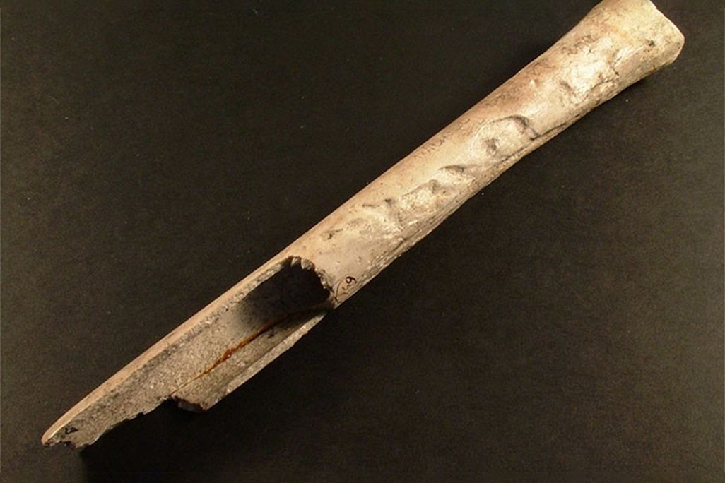 A bone hollowed-out stick, with indentations on the surface; looks as though it's broken at the bottom