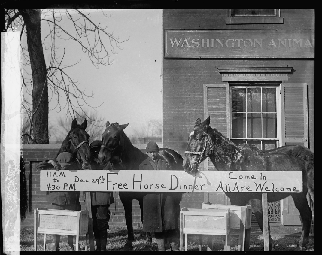A sign at the 1923 Washington Animal Rescue League Christmas party advertised a "free horse dinner" for all.