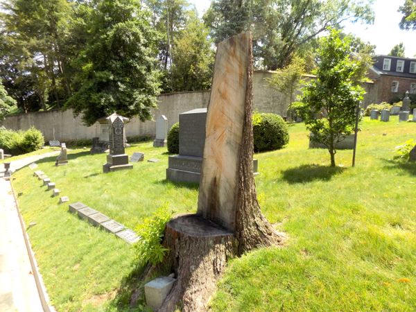 A cemetery, a tree, a chair thumbnail