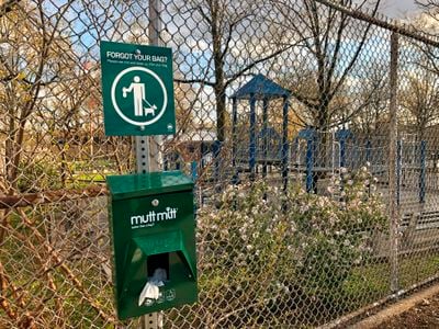 Dog waste bags outside a park in Queens, New York. The maximum fine for not picking up your dog&#39;s waste in New York City is $250.