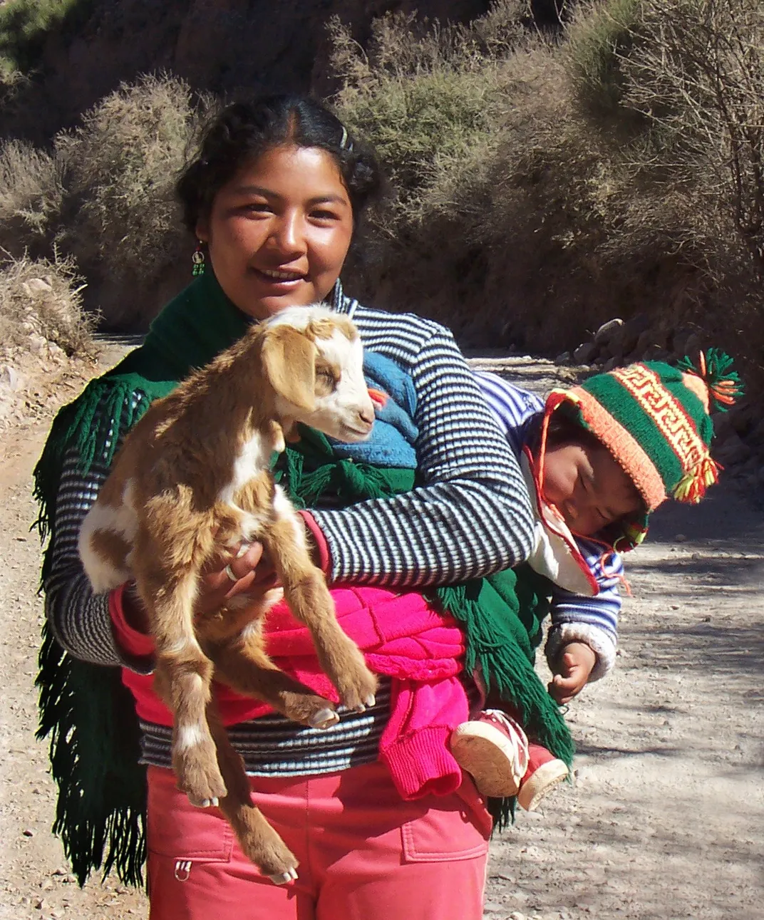 A Hispanic woman holds a goat with her baby on her back