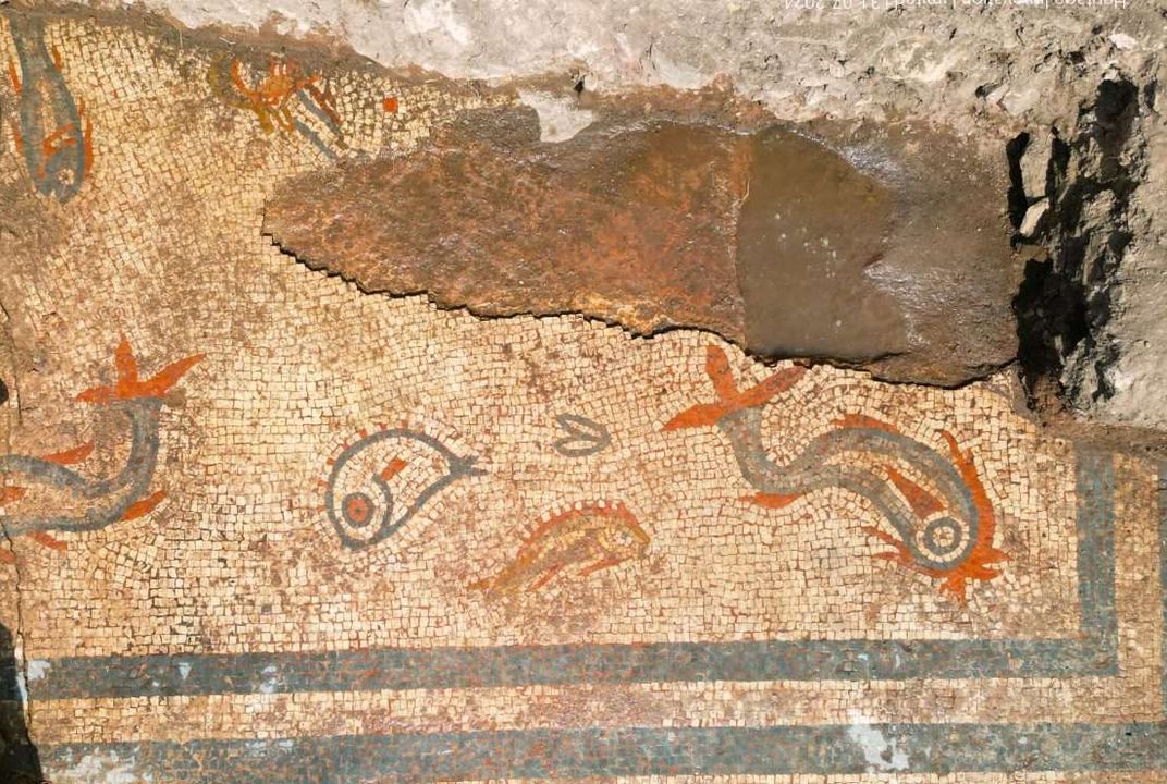 鯉と蛸と客観的な世界　　版画　1/5　Limited to 5 copies mosaic2-scaled.jpg