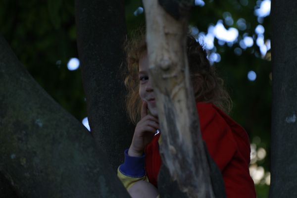 A Girl in a Tree thumbnail