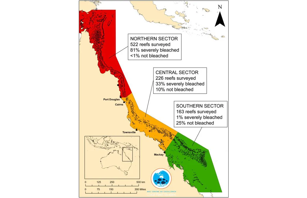 Mass Bleaching Destroys Swaths of the Great Barrier Reef | Smithsonian