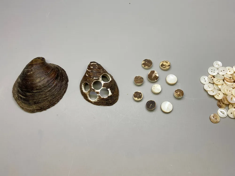 Ebonyshell to buttons