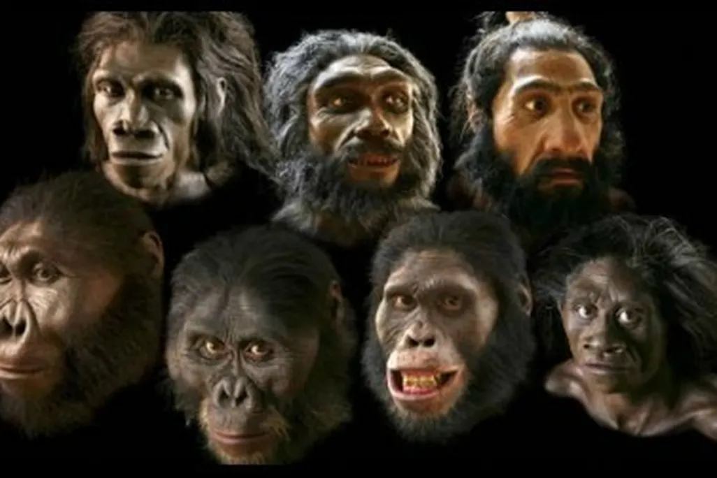 What if we could make masks to look like these models in the Natural History Museum's Hall of Human Origins?
