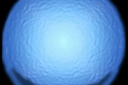 A depiction of what the biobulb will look like