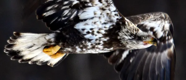 On The Way thumbnail