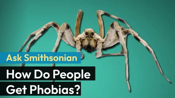 Preview thumbnail for Ask Smithsonian: How Do People Get Phobias?