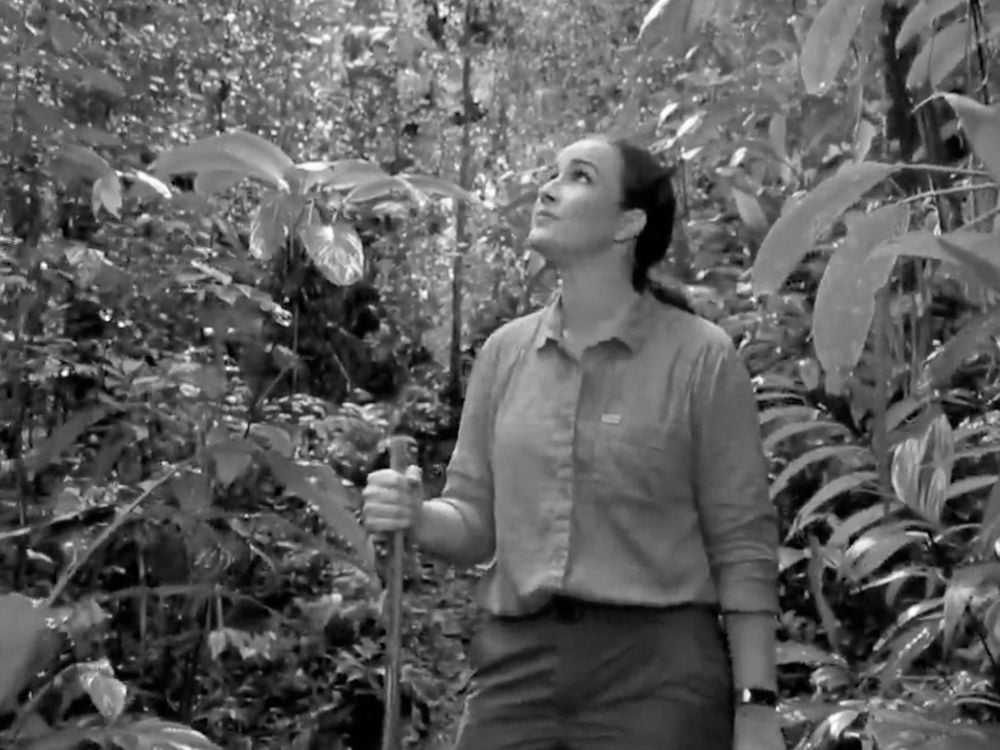 Happy Earth Day 2021! Hillary Hughes, Panamanian actress, visits the Smithsonian Tropical Research Institute's Agua Salud Project during the filming of videos in Spanish and English to share hope for the success of tropical forest reforestation informed by the largest experiment of its kind in the tropics. (video still)