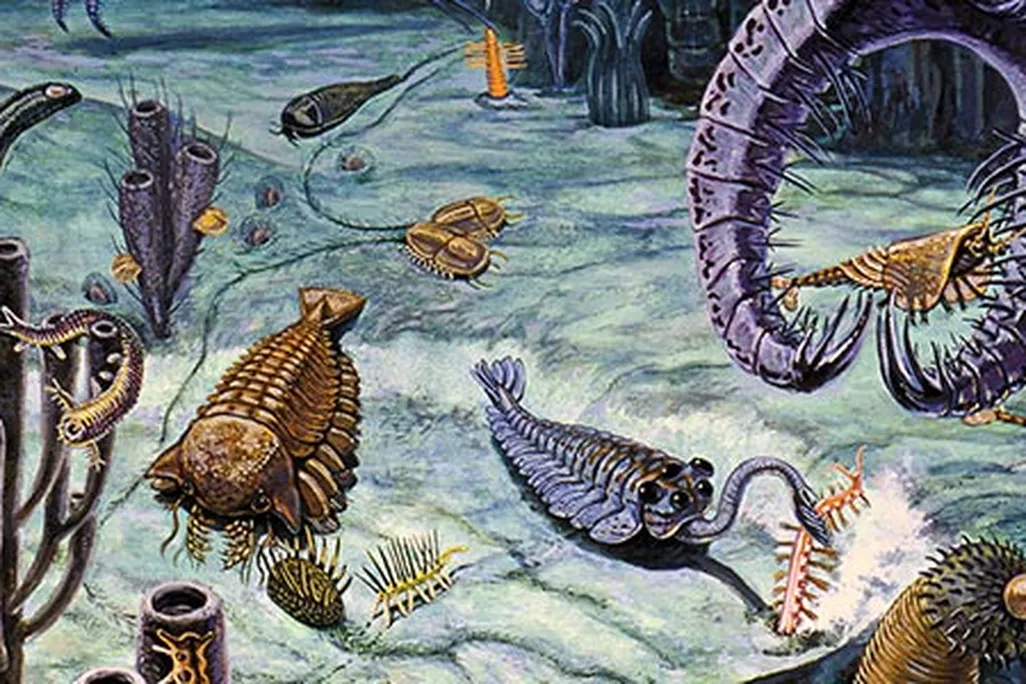 Cambrian Period