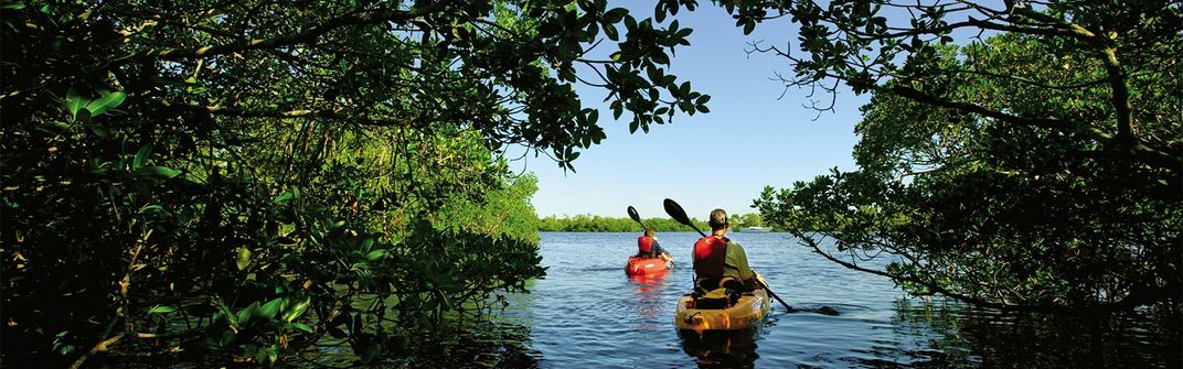 Six Reasons Why You Need to Visit The Beaches of Fort Meyers & Sanibel This Fall