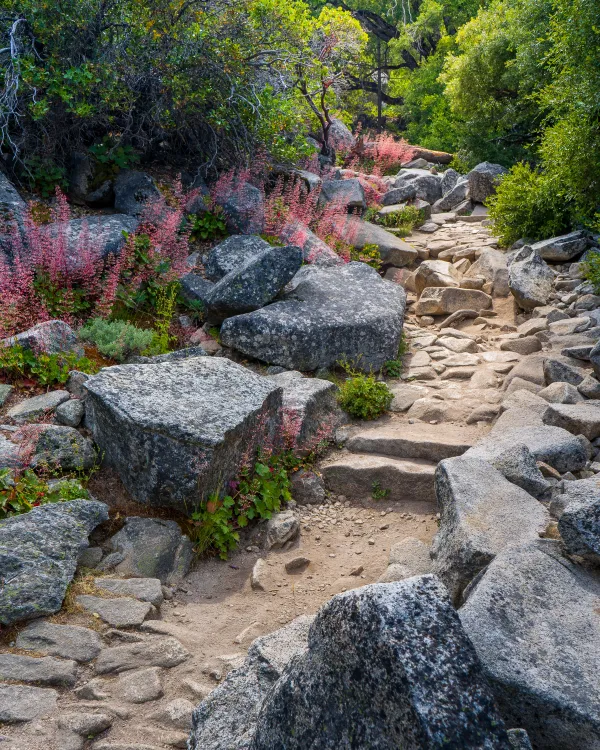 Yosemite Trail thumbnail