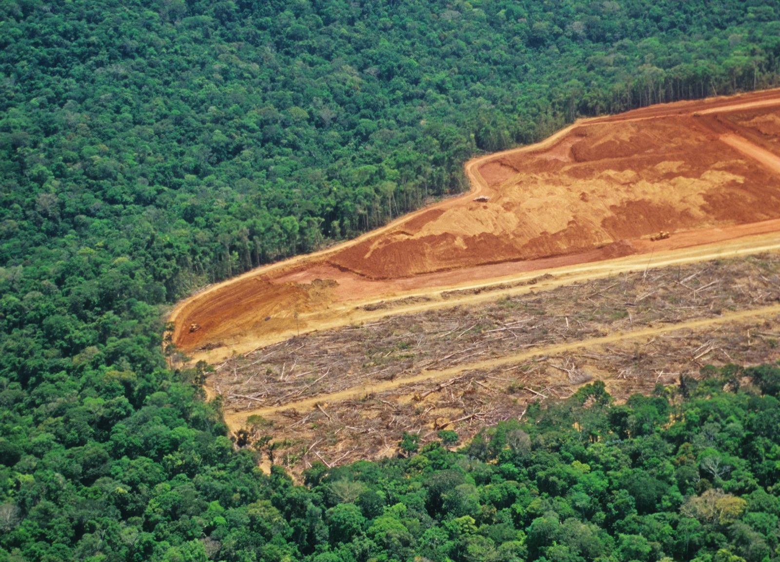 EU steps in to boost  rainforest protection plan