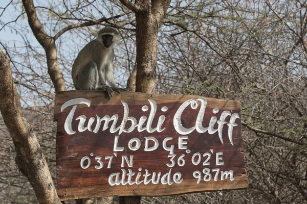 Welcome to Tumbili Cliff thumbnail