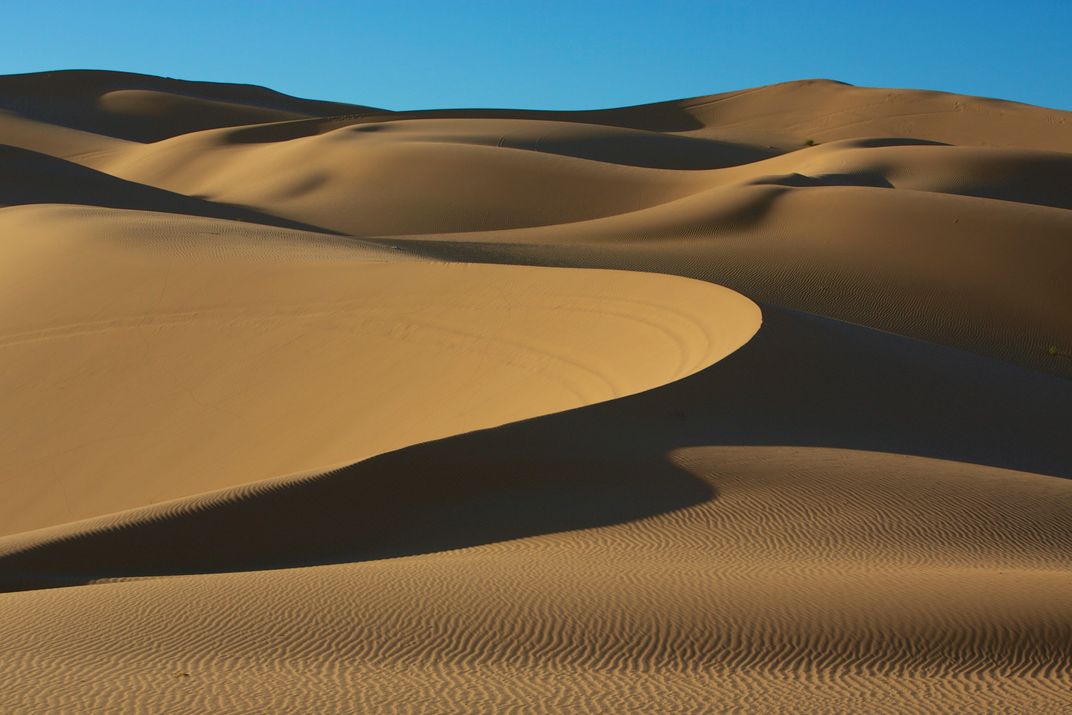 Sand dunes at sunrise | Smithsonian Photo Contest | Smithsonian Magazine