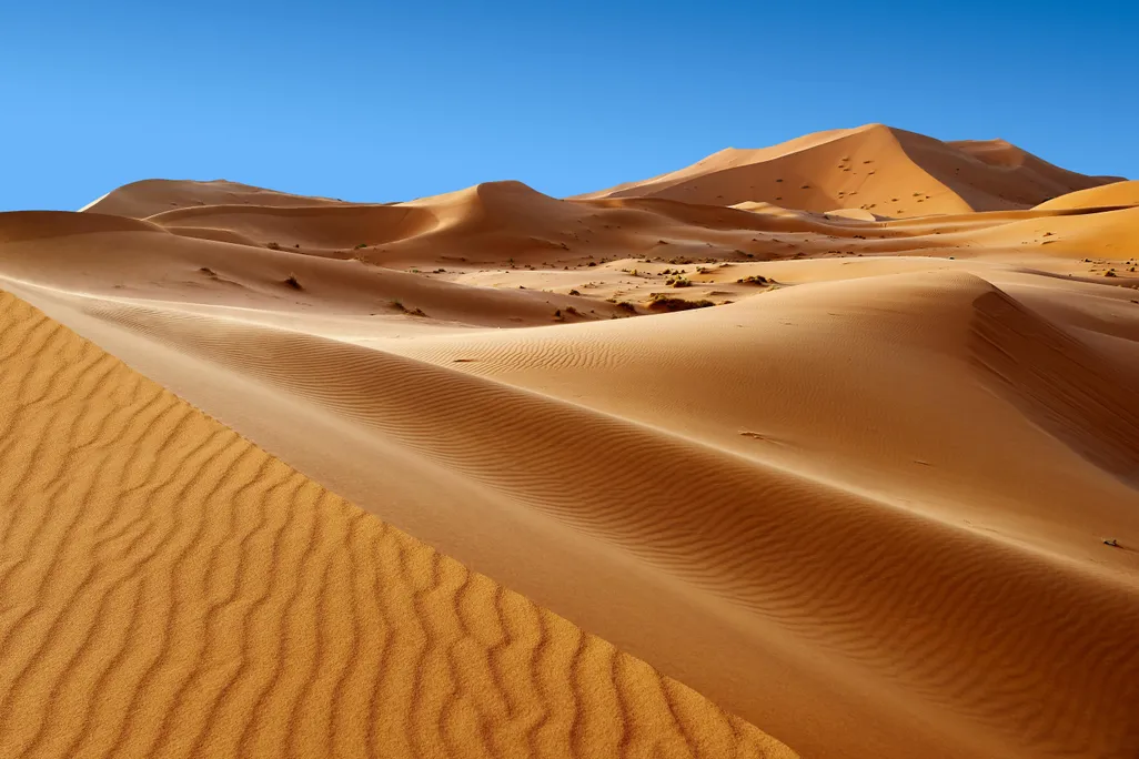 Sahara Dunes