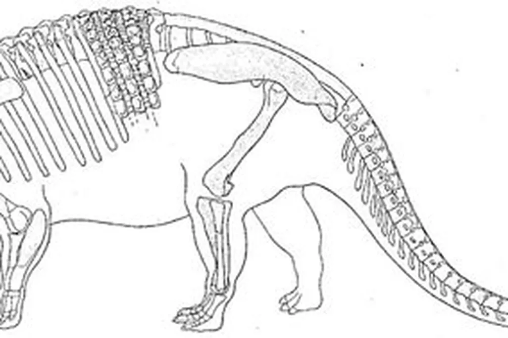20110520083115800px-nodosaurus_textilis.jpg