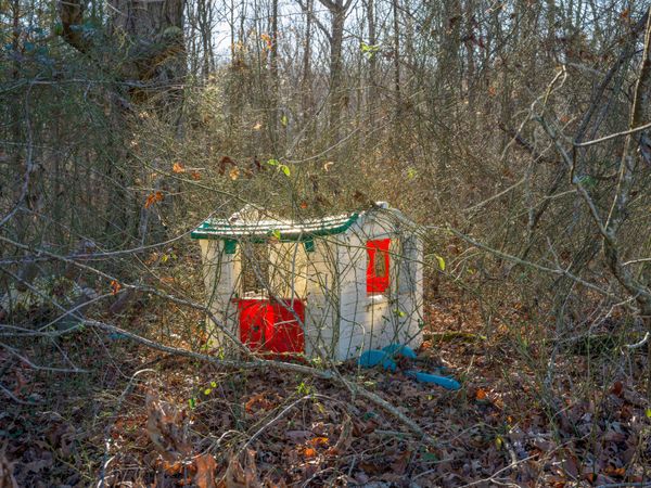 An Abandoned Playhouse in the Woods thumbnail