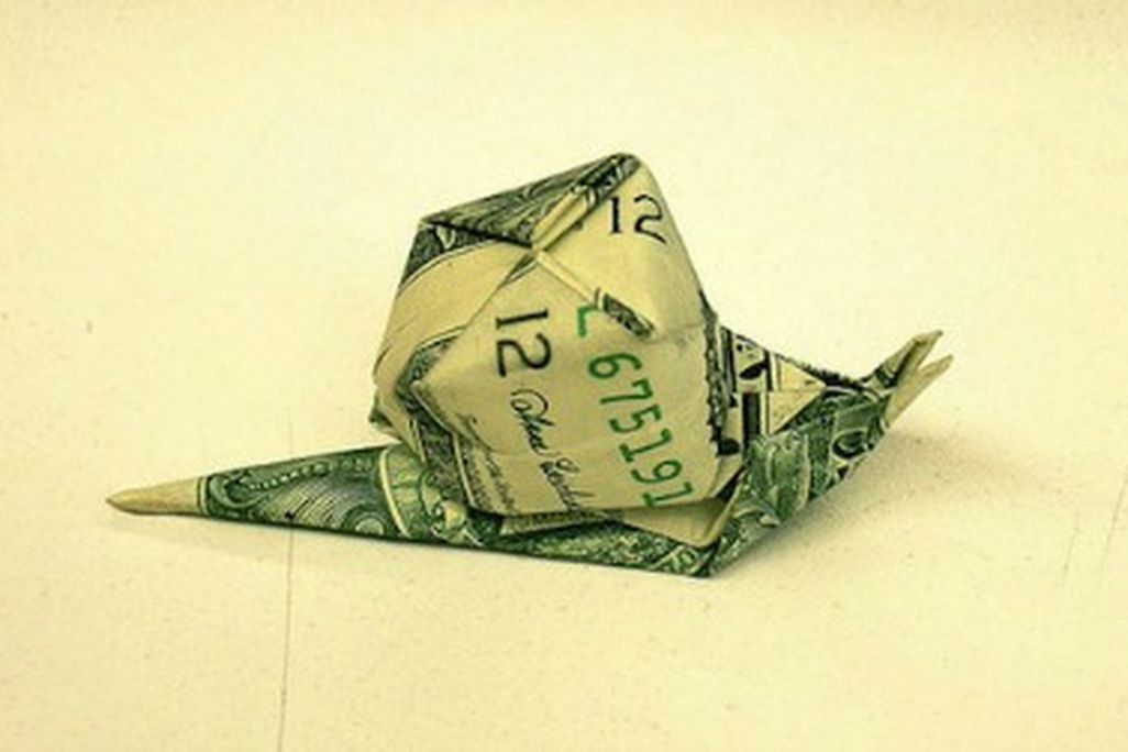 snail-dollar.jpg