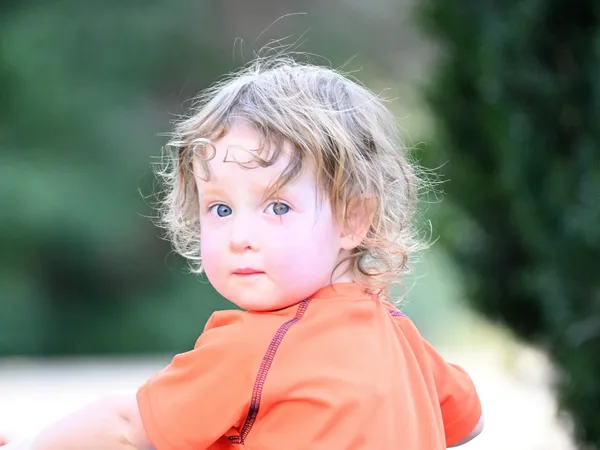 Dog walk with the grandkids. thumbnail