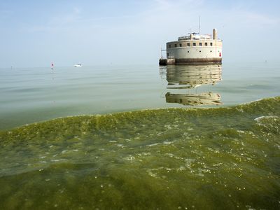 The Lady K tow boat kicks up a wake full of green algae a few hundred feet from the city of Toledo's Water Intake on Lake Erie, for testing on Monday, August 4, 2014.