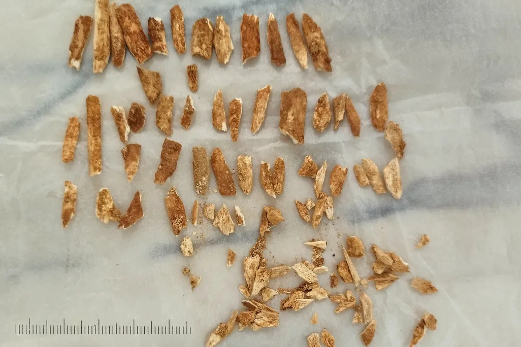 Fragments of bones
