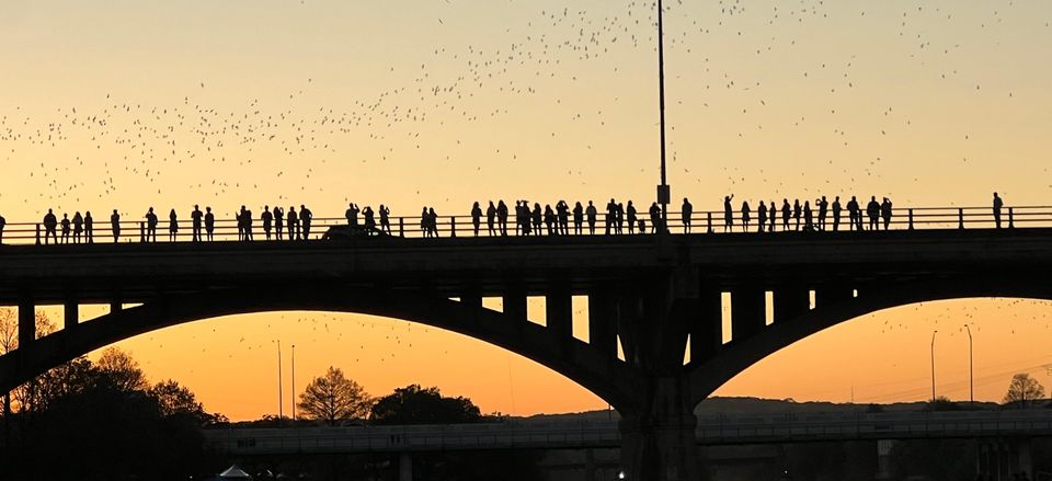  Bats over Congress Avenue Bridge at sunset 