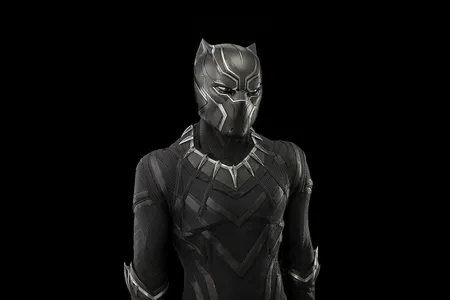 The costume worn by Chadwick Boseman&rsquo;s Black Panther in the 2016 film Captain America: Civil War is in the collection of the National Museum of African American History and Culture. The suit imbues him with powers similar to the abilities of the dark cats.