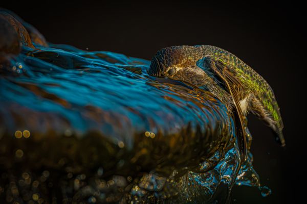 Edge of Relief thumbnail