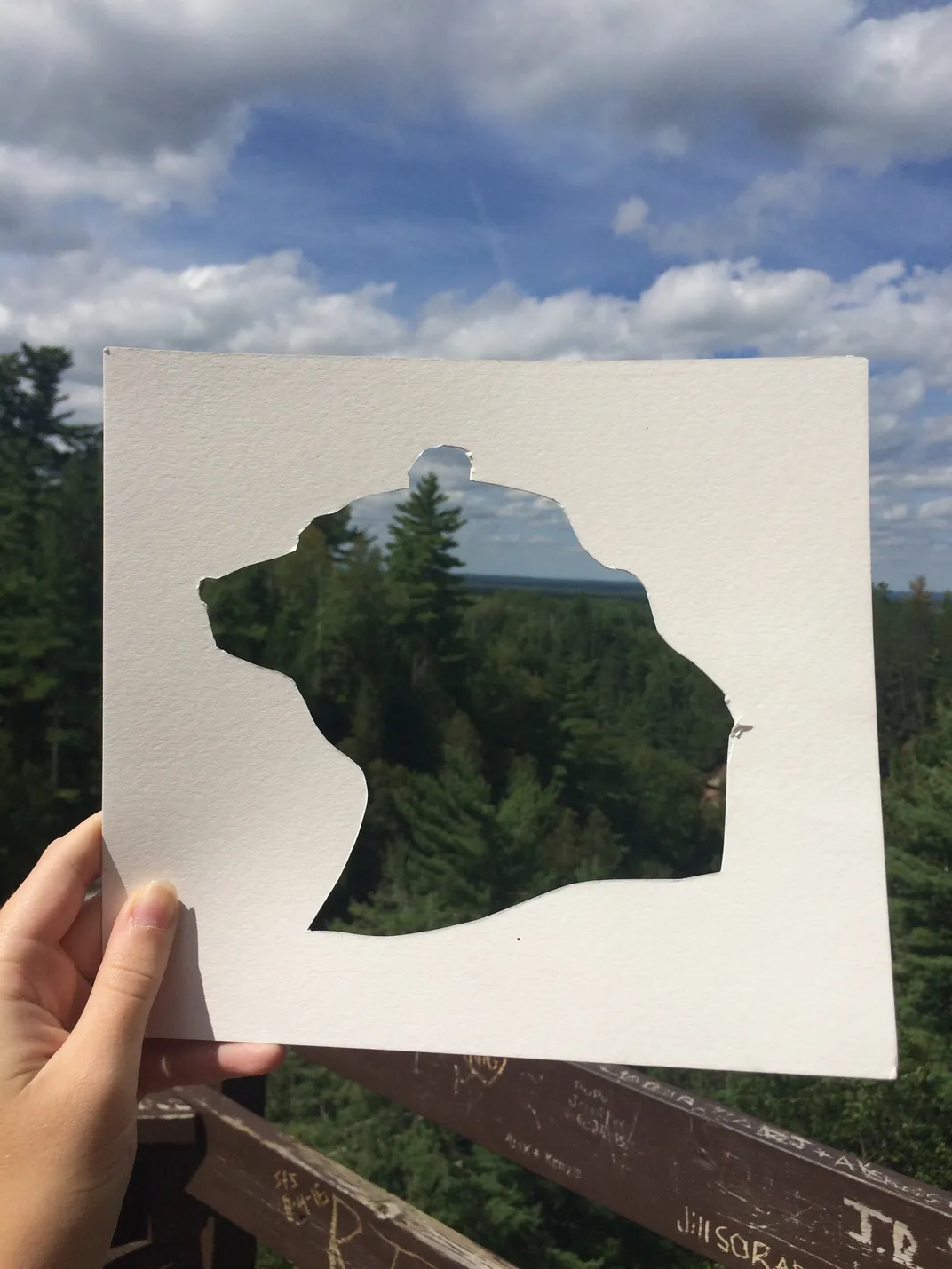 Combining art with nature. Smithsonian Photo Contest Smithsonian