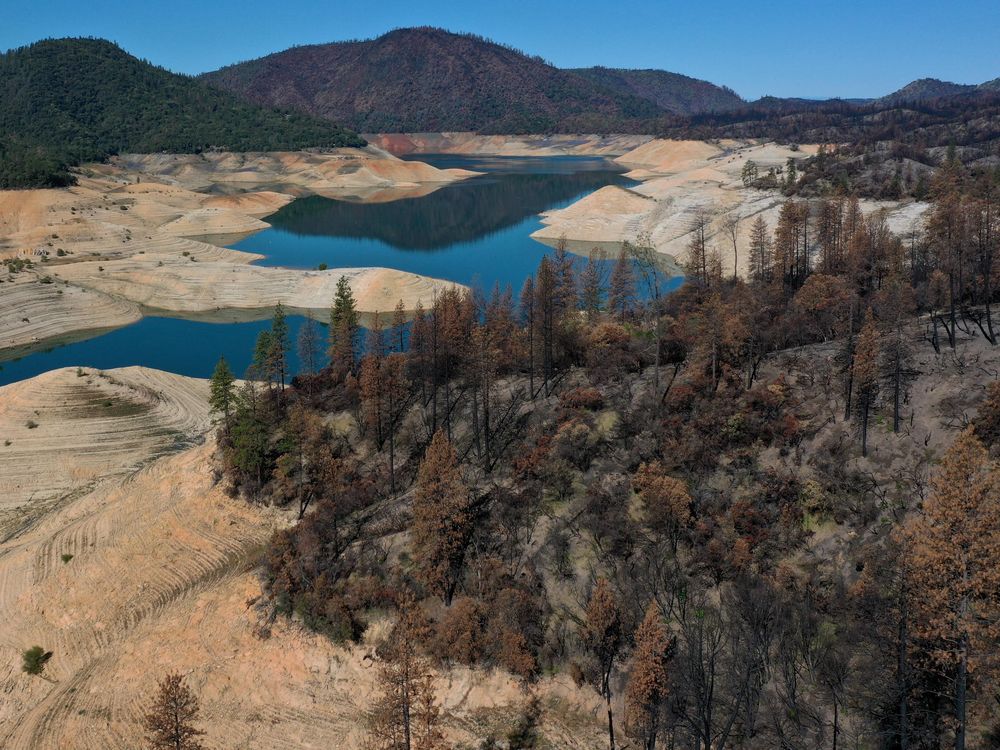 Trees burned by the recent Bear Fire line the steep banks of Lake Oroville where water levels are low on April 27, 2021 in Oroville, California.