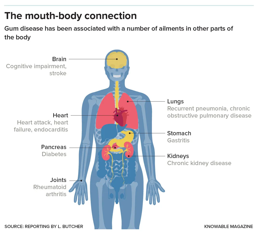 Mouth Body Connection Graphic