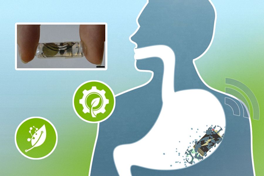 Scientists Invent a Digestible, Paper-Based Battery That Can Power Swallowed or Implanted Medical Devices