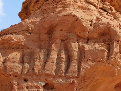 Despite heavy erosion, the camels remain visible some seven&nbsp;millennia after their creation.