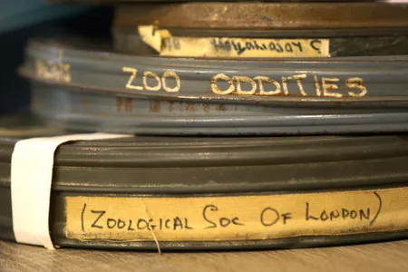 Roughly 230 film reels have been found in storage.