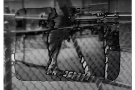 Still from Walking (interstices), 1975 / Ingrid Wiegand. U-matic : 1 videocassette (U-Matic) : sd., col. ; 3/4 in. Robert Wiegand papers and video art, 1953-1994. Archives of American Art.