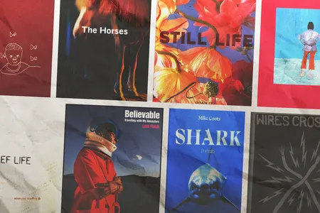 This year's list includes The Horses, Still Life,&nbsp;Believable: Traveling with My Ancestors, and more.