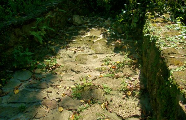 Old Worn Path thumbnail