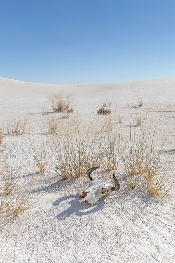 The dunes of White Sands Nationl Park thumbnail