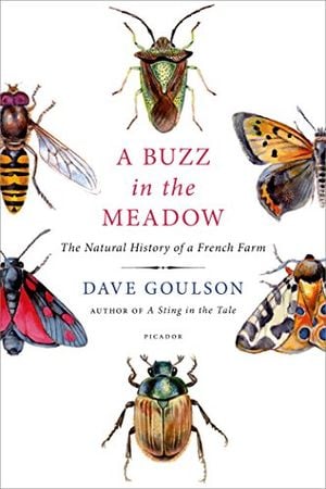 Preview thumbnail for video 'A Buzz in the Meadow: The Natural History of a French Farm